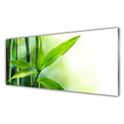 Glas foto Bamboo leaf nature plant