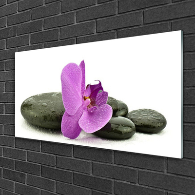 Glas foto Orchidee bloem orchidee