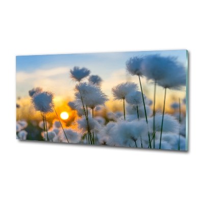 Glas foto Bloemen plant nature