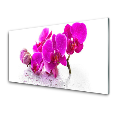 Glas foto Bloemen plant nature