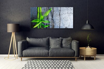 Glas foto Bamboo leaf nature plant