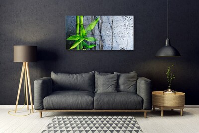 Glas foto Bamboo leaf nature plant