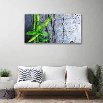 Glas foto Bamboo leaf nature plant