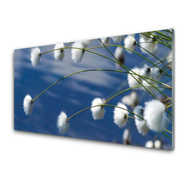 Glas foto Bloemen plant nature