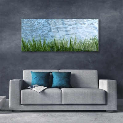 Glas foto Water grass nature