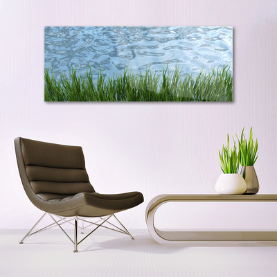 Glas foto Water grass nature