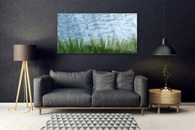 Glas foto Water grass nature