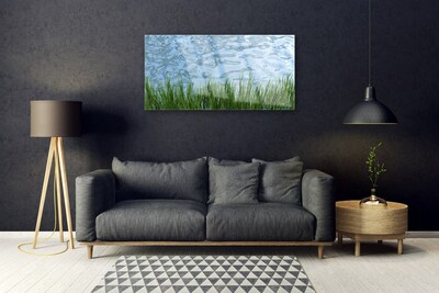 Glas foto Water grass nature