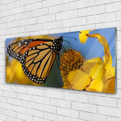 Glas foto Butterfly flower nature