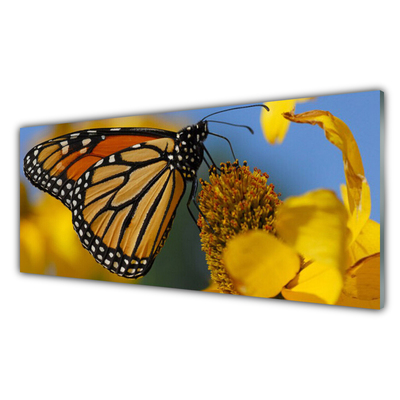 Glas foto Butterfly flower nature