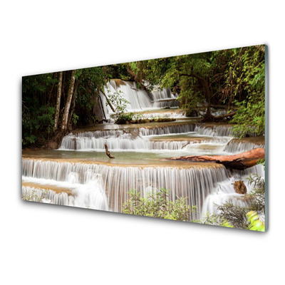 Glas foto Boswaterval nature