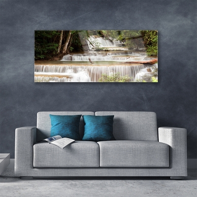 Glas foto Boswaterval nature
