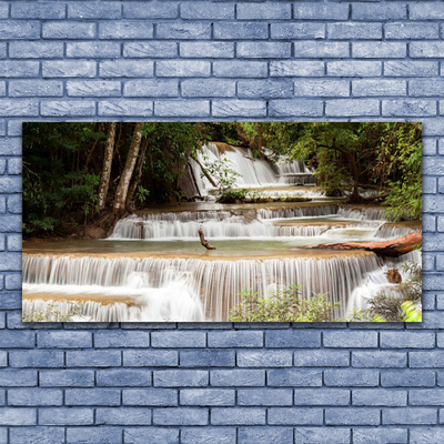 Glas foto Boswaterval nature