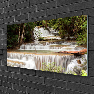 Glas foto Boswaterval nature