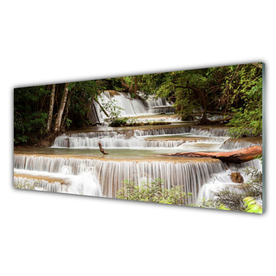 Glas foto Boswaterval nature