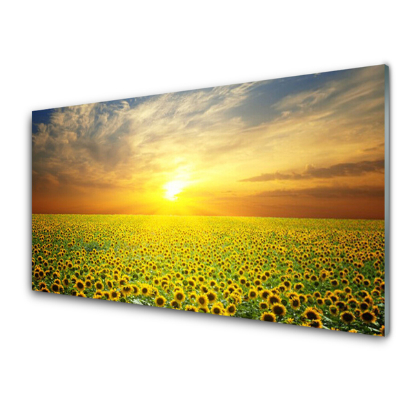 Glas foto Zon meadow zonnebloemen