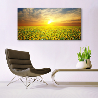 Glas foto Zon meadow zonnebloemen