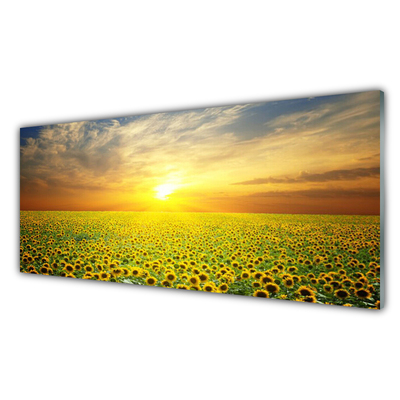 Glas foto Zon meadow zonnebloemen