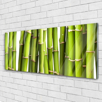 Glas foto Installatie van het bamboe nature