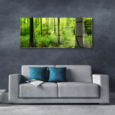 Glas foto Green forest trees nature