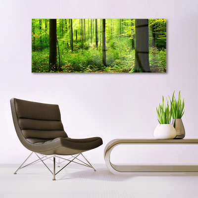 Glas foto Green forest trees nature