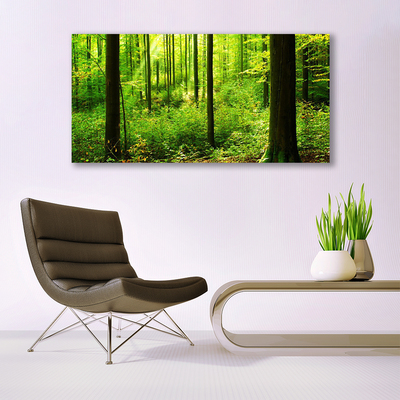 Glas foto Green forest trees nature