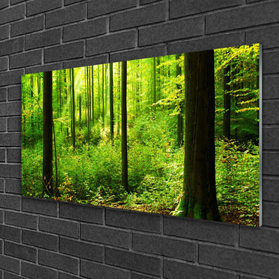 Glas foto Green forest trees nature