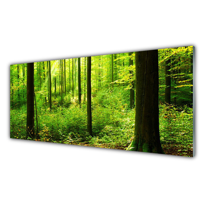 Glas foto Green forest trees nature