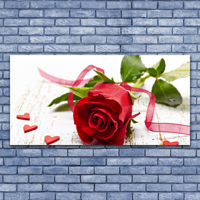 Glas foto Rose flower plant natuur