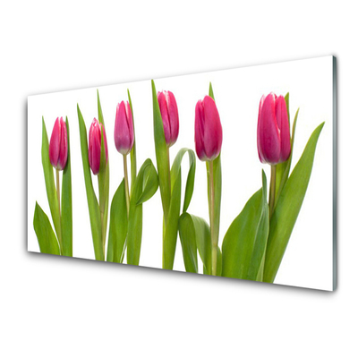 Glas foto Tulpen bloemen plant