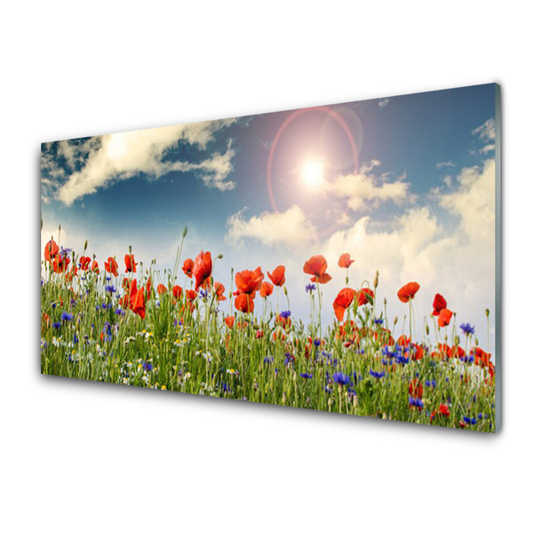 Glas foto Zon weide bloemen nature