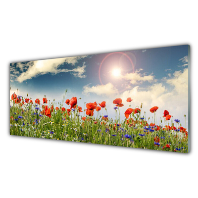 Glas foto Zon weide bloemen nature