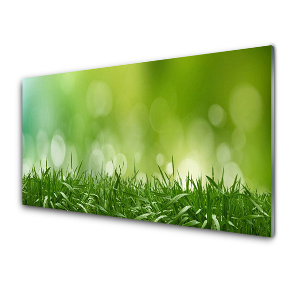 Glas foto Grass nature plant