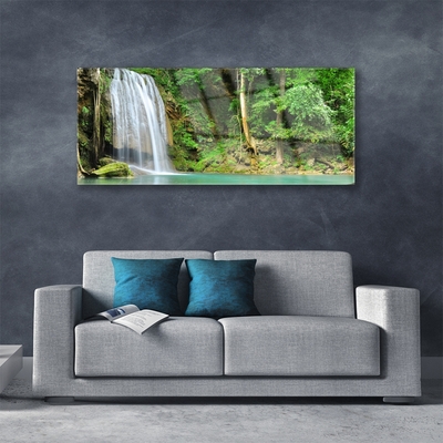 Glas foto Boswaterval nature