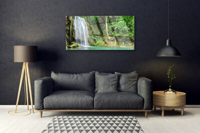 Glas foto Boswaterval nature