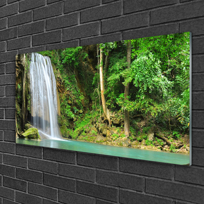 Glas foto Boswaterval nature