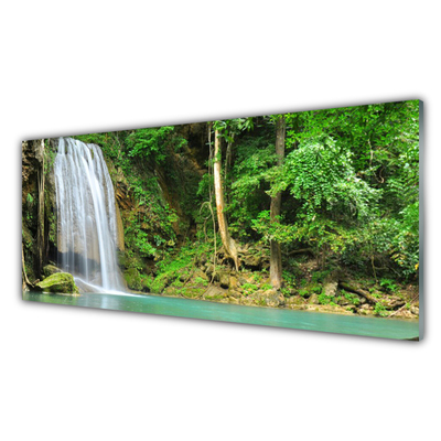 Glas foto Boswaterval nature