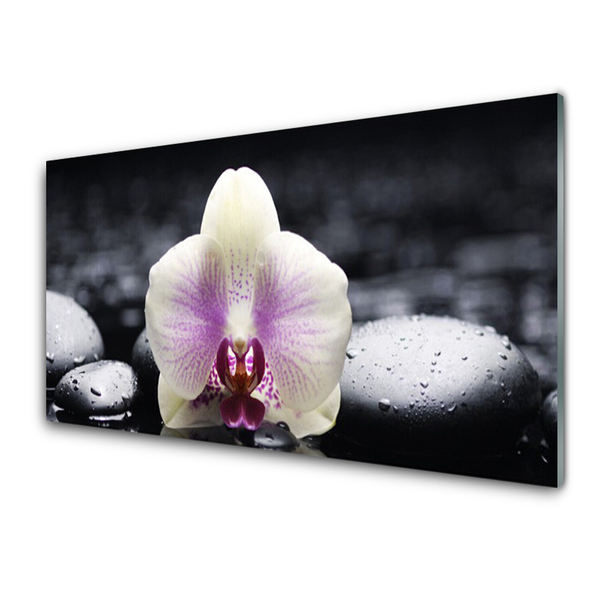 Glas foto Flower orchideeinstallatie