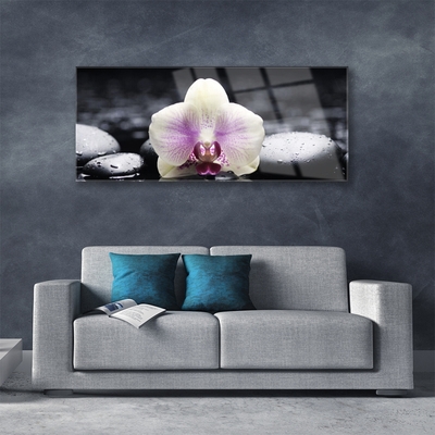 Glas foto Flower orchideeinstallatie