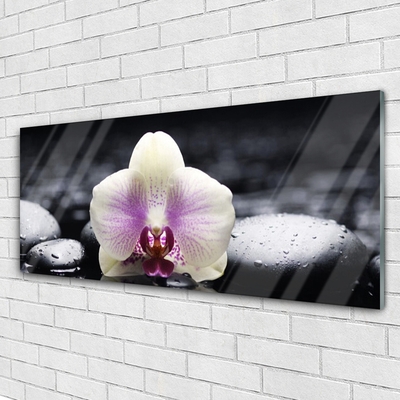 Glas foto Flower orchideeinstallatie