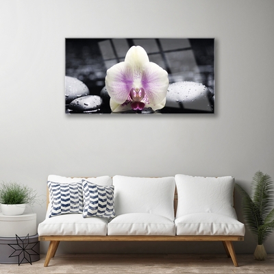 Glas foto Flower orchideeinstallatie