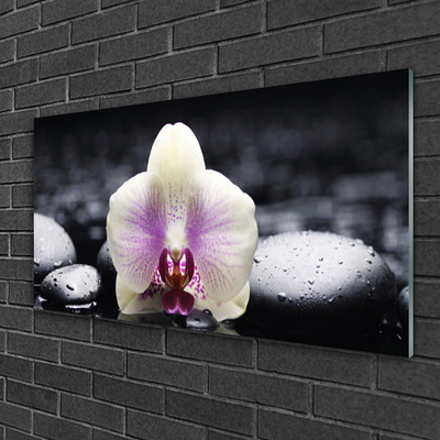 Glas foto Flower orchideeinstallatie