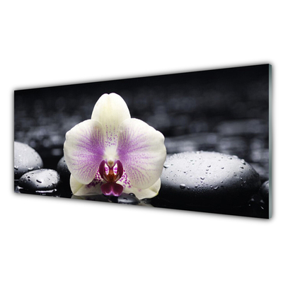 Glas foto Flower orchideeinstallatie