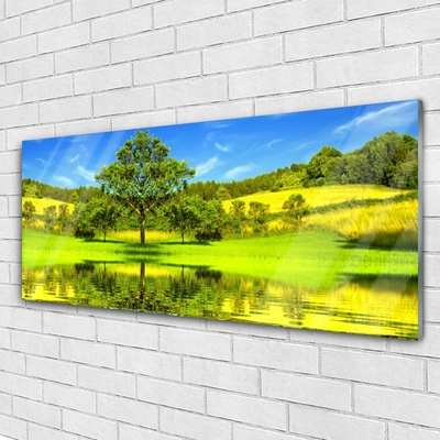 Glas foto Tree meadow nature