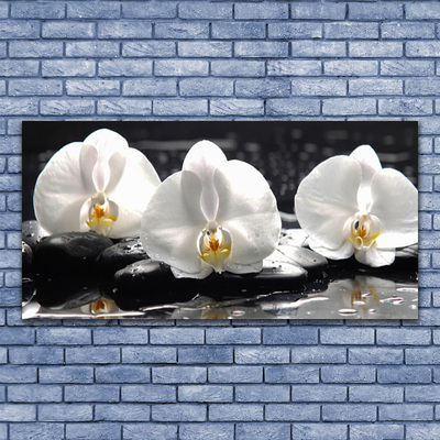 Glas foto Witte orchidee bloem