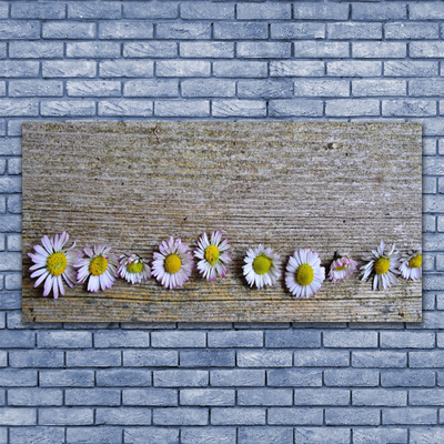 Glas foto Daisy plant nature