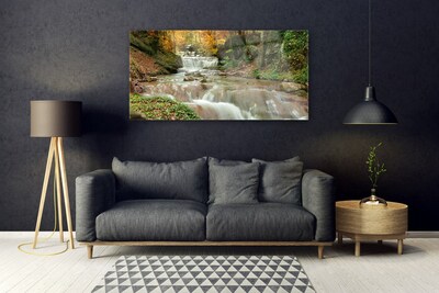 Glas foto Boswaterval nature