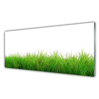 Glas foto Grass nature plant