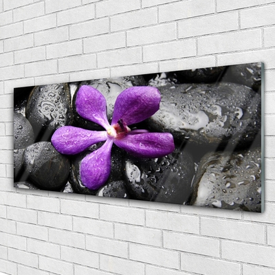 Glas foto Flower stones art