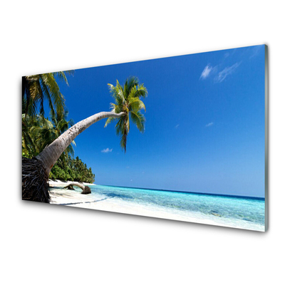 Glas foto Palm beach overzees landschap